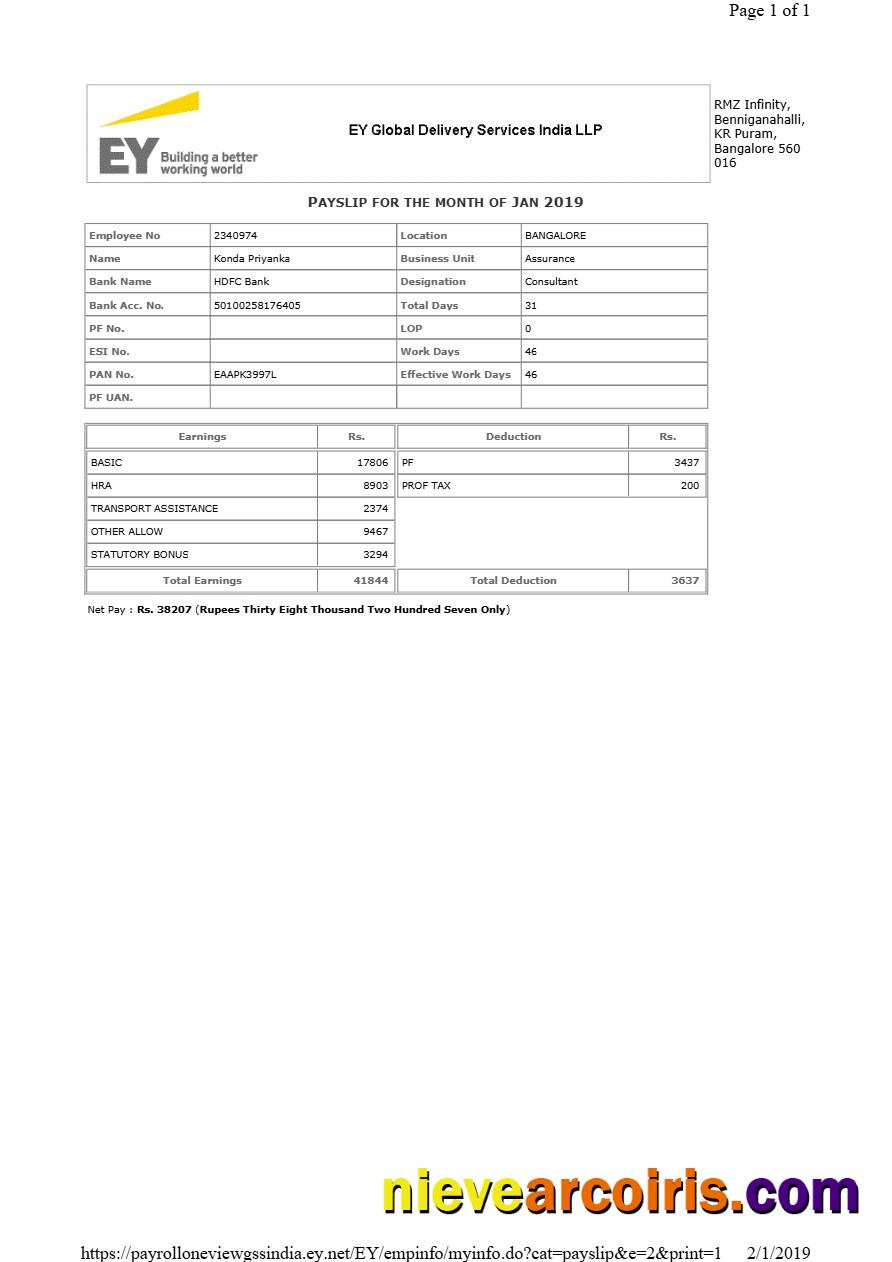 EY Global Delivery Services payslip